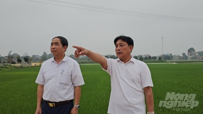 Ông Nguyễn Hữu Xuân (phải) cùng lãnh đạo xã Xuân Thọ khảo sát khu vực xây dựng khu nông nghiệp công nghệ cao. Ảnh: Quốc Toản.