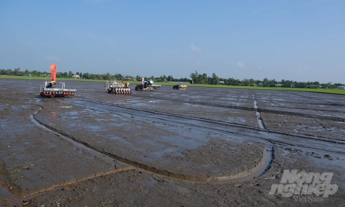 The Ministry of Agriculture and Rural Development recommends not sowing rice seeds in areas at risk of saltwater intrusion. Photo: TL.