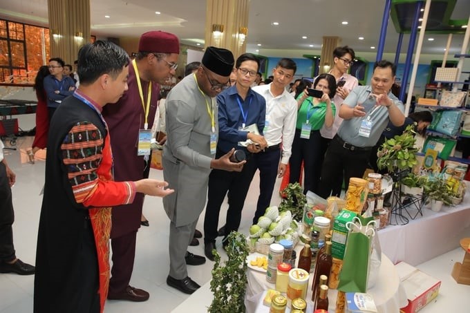 At the forum, there is also a display area to introduce typical businesses, industrial parks, industrial and agricultural products, and OCOP products with export potential in Binh Phuoc province. Photo: HT.