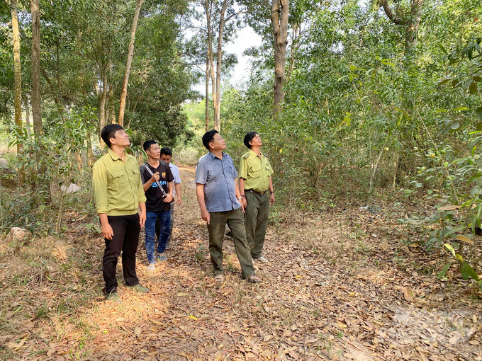Mùa khô năm 2024, An Giang đã xác định tổng diện tích rừng có nguy cơ xảy ra cháy với diện tích gần 7.370 ha, chiếm 43,70% tổng diện tích rừng toàn tỉnh. Ảnh: Lê Hoàng Vũ.