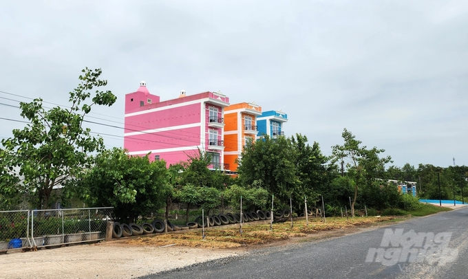 Many large-scale swiftlet houses are invested in and clustered together in My Xuyen district, Soc Trang province. Photo: Kim Anh.