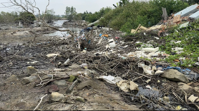 Garbage from the sea drifts into mangrove forests, causing pollution. Photo: L.K.