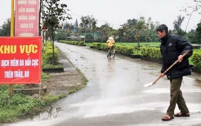 Lumpy skin disease on buffaloes and cows in Ha Tinh is developing complicatedly. Photo: TN.