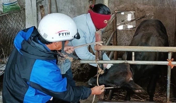 The Chairman of Ha Tinh Province requested localities finish the first vaccination session in 2024 before April 30. Photo: TN.