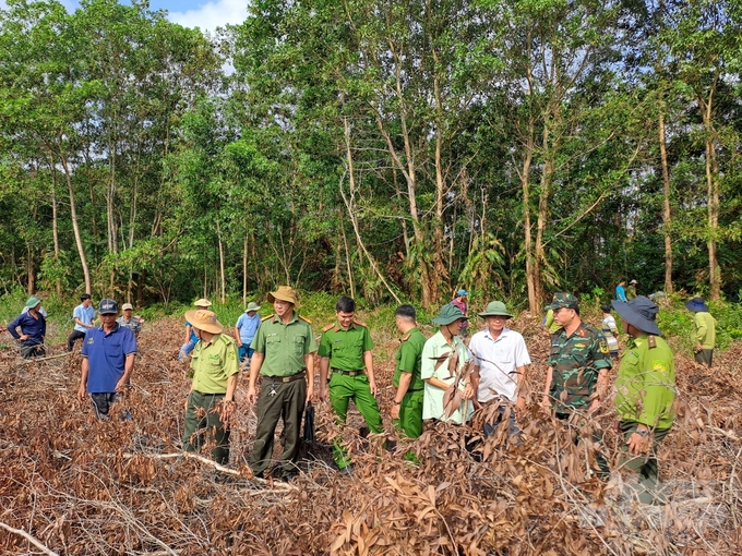 Chi cục Kiểm lâm tỉnh Sóc Trăng cùng các cơ quan chuyên môn kiểm tra hiện trang và công tác phòng chống cháy rừng mùa khô năm 2023 – 2024. Ảnh: Kim Anh.