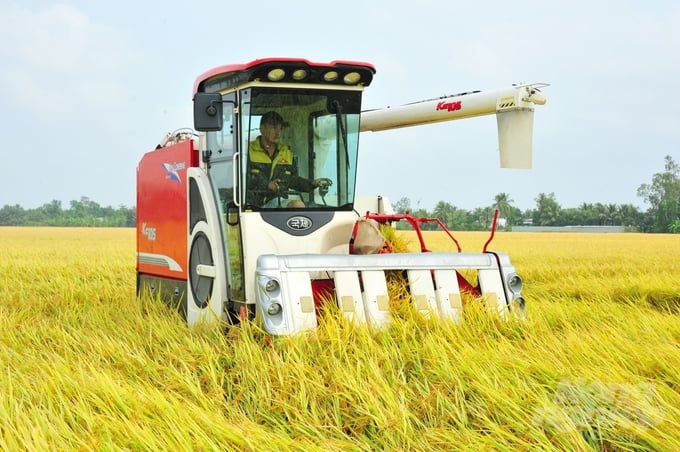 Saigon Kim Hong Trading Services Company Limited demonstrating the performance of a combined harvester, which is capable of harvesting rice close to the ground and evenly spreading straw on the field, or laying it along the ridges for removal with straw-rolling machine. Photo: Hoang Vu.