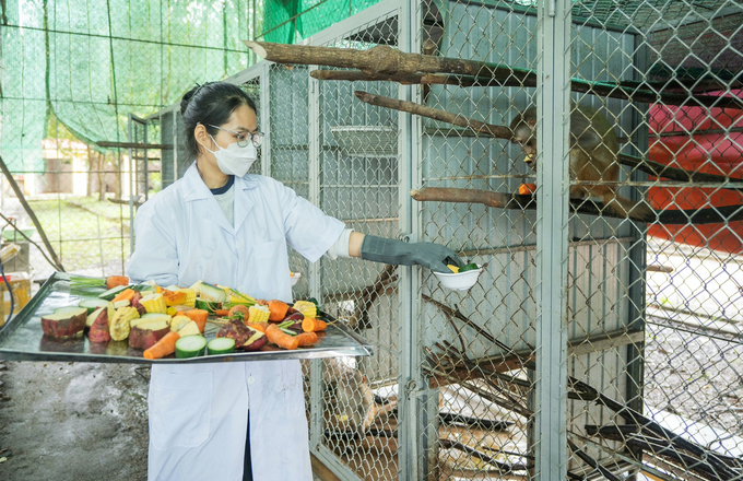 Cán bộ chuyên môn VQG Vũ Quang chăm sóc động vật hoang dã. Ảnh: VQG cung cấp.