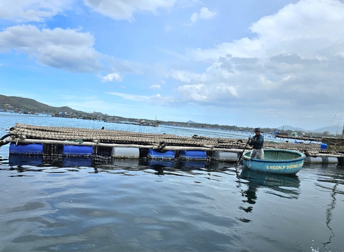 Các địa phương vào cuộc giải tỏa, sắp xếp lồng bè nuôi thủy sản tuy nhiên còn nhiều vướng mắc. Ảnh: KS.