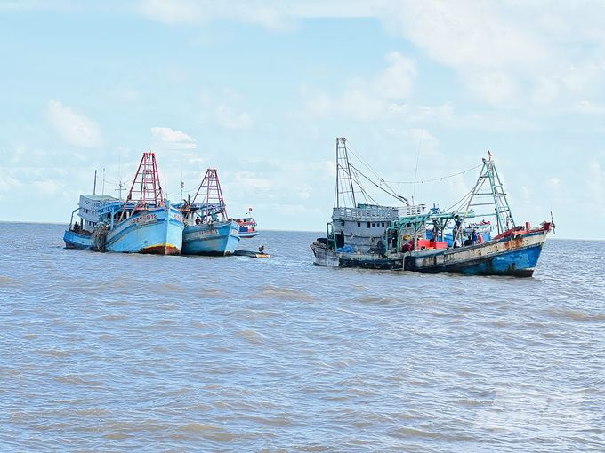 Tàu cá của tỉnh Kiên Giang đánh bắt tại vùng biển tỉnh Cà Mau. Ảnh: Trọng Linh.