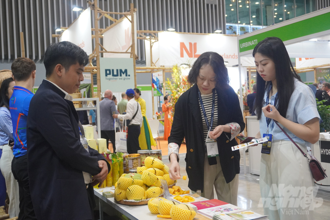 Công ty TNHH Nông sản Chú Chín (huyện Cao Lãnh, tỉnh Đồng Tháp) mang xoài giới thiệu với các nhà mua hàng quốc tế tại Triển lãm Hortex Việt Nam 2024. Ảnh: Nguyễn Thủy.