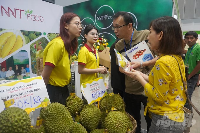 Durian export value proliferated, surpassing dragon fruit to number 1. Photo: Nguyen Thuy.