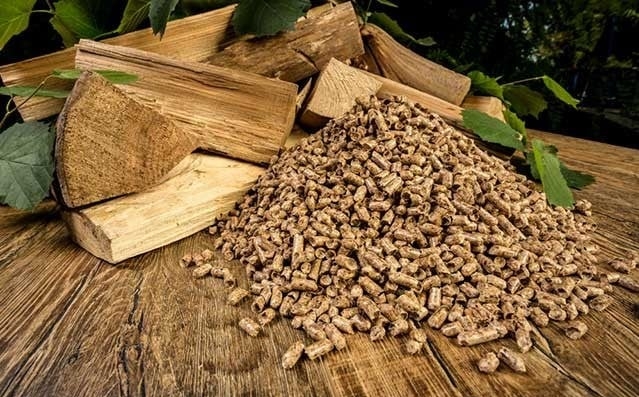 Wood chips and wood pellets are popular in the Chinese and Japanese markets. Photo: nguyenlieudot.