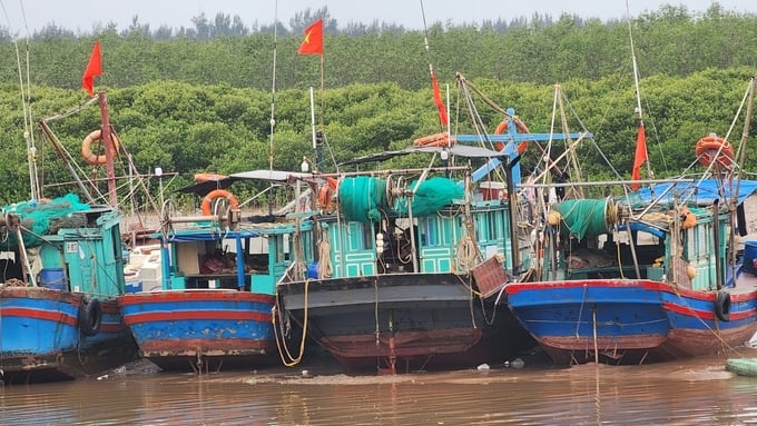Fishing boats anchored at Ngoc Hai port, Do Son district. Photo: Dinh Muoi.