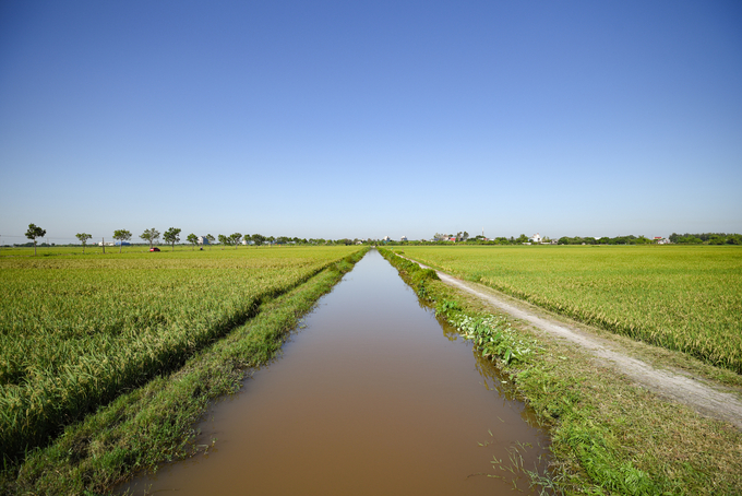 Water, fertilizer, efforts, and seeds are four important inputs to agricultural production. Photo: Tung Dinh.