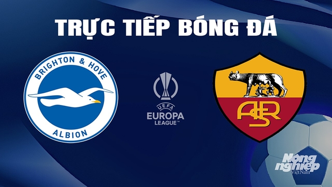 Trực tiếp bóng đá Cúp C2 Châu Âu giữa Brighton vs AS Roma hôm nay 15/3/2024