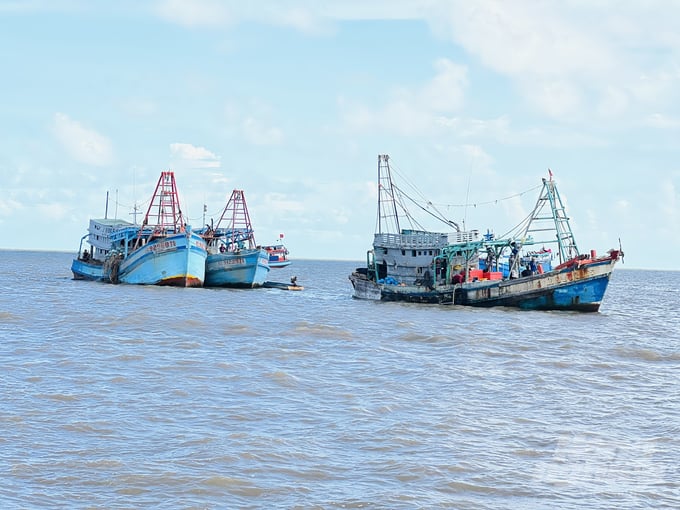 Fishing boats of Kien Giang province are fishing in the waters of Ca Mau province. Photo: Trong Linh. 