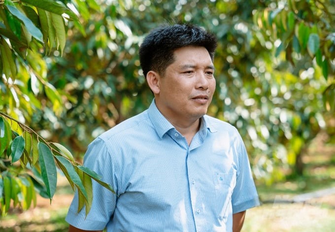 Mr. Nguyen Van Chuong, Director of the Dak Nong Provincial Agricultural Extension Center, said the model will be replicated for households growing durian and other crops in the coming time. Photo: Binh Minh.