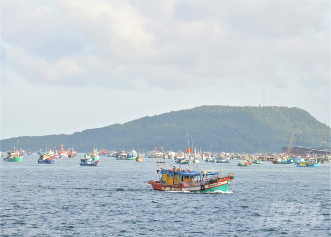 Dự án Bảo tồn hệ sinh thái ven biển ĐBSCL nhắm tới những khu vực bờ biển dễ bị tổn thương nhất, Khu Bảo tồn biển Phú Quốc và các đảo, quần đảo trên vùng biển Tây. Ảnh: Trung Chánh.