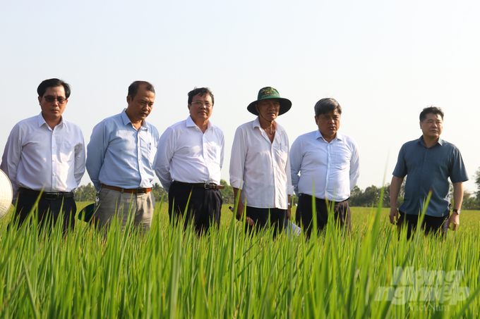 Thứ trưởng Bộ NN-PTNT Trần Thanh Nam (thứ 2 từ phải sang) khảo sát và đánh giá cao các mô hình được chọn triển khai Đề án 1 triệu ha lúa chất lượng cao và phát thải thấp. Ảnh: HT.