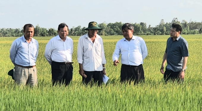 Deputy Minister Tran Thanh Nam (2nd from right) and Chairman of Tra Vinh People's Committee Le Van Han (2nd from left) surveyed at Phuoc Hao Cooperative. Photo: HT.