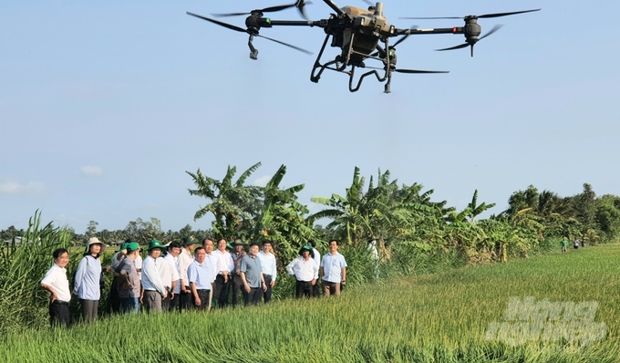 Rice production fields follow the organic and low-emissions direction associated with synchronous mechanization at Phuoc Hao Agricultural Cooperative, Phuoc Hao commune, Chau Thanh district, Tra Vinh. Photo: HT.