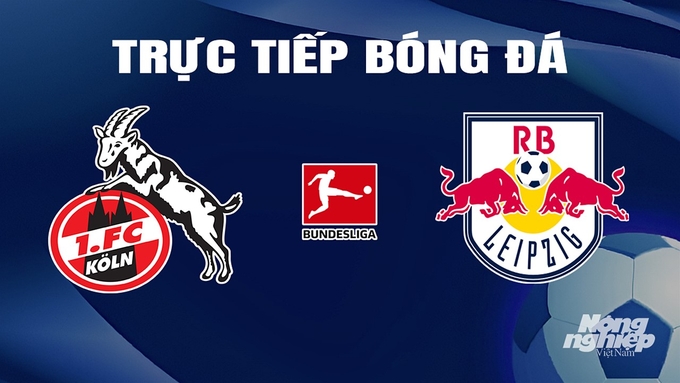 Trực tiếp bóng đá Bundesliga 2023/24 giữa Koln vs RB Leipzig hôm nay 16/3/2024