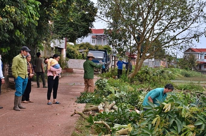 Local residents participating in land clearance activities in the early-ripening lychee region. Photo: Tan Yen District People's Committee.