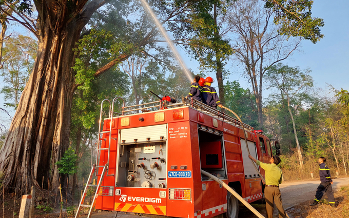 Cán bộ kiểm lâm Vườn quốc gia Yok Đôn phối hợp với lực lượng PCCC huyện Buôn Đôn phun nước dập lửa cây đa bị cháy giữa trưa. Ảnh: Quang Yên.