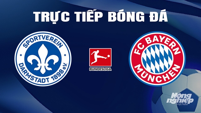 Trực tiếp bóng đá Bundesliga 2023/24 giữa Darmstadt vs Bayern Munich hôm nay 16/3/2024
