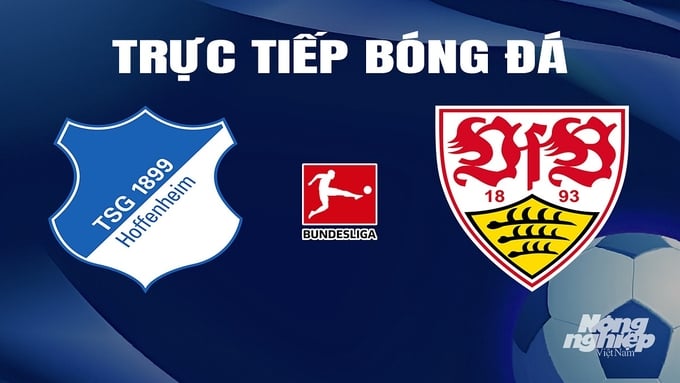 Trực tiếp bóng đá Bundesliga 2023/24 giữa Hoffenheim vs Stuttgart ngày 17/3/2024