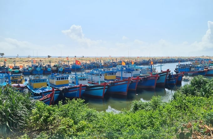 Vietnam possess an extensive fishing fleet, totaling over 86,000 fishing vessels. Photo: Hong Tham.