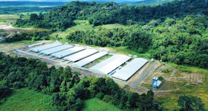 Mavin Group's High-tech Livestock Complex Project in Gia Lai province utilizes a circular agriculture model.