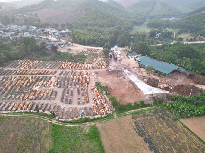 Mặt bằng cơ sở sản xuất kinh doanh của Công ty TNHH sản xuất chế biến lâm sản Tân Tiến (khu phố Hải Tiến, thị trấn Bến Sung) rất nham nhở. Nhiều hạng mục công trình sử dụng vào mục đích sản xuất kinh doanh nằm trên đất ở và đất nông nghiệp. Ảnh chụp ngày 4/3.
