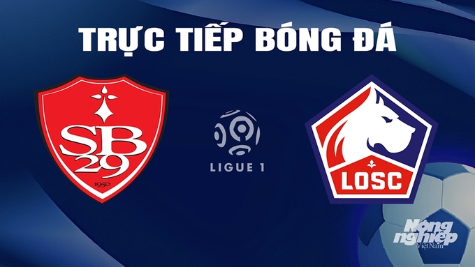Trực tiếp bóng đá Ligue 1 (VĐQG Pháp) 2023/24 giữa Brest vs Lille hôm nay 17/3/2024