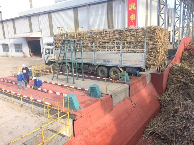 When it entered operation, the capacity of An Khe Sugar Factory was only 2,000 tons of sugarcane per day, but it has now increased to 17,000 tons/day. Photo: V.D.T.