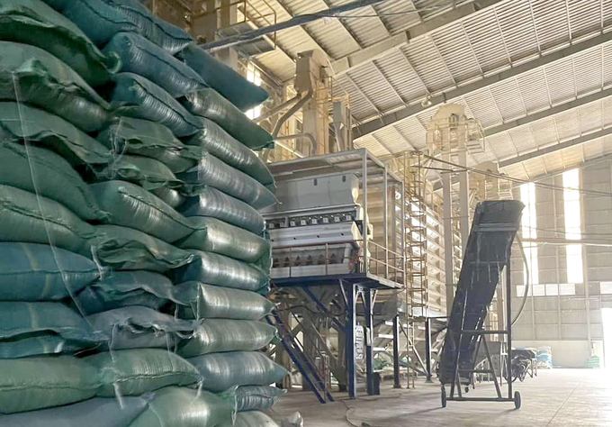 A rice storage warehouse in Long An. Photo: Son Trang.