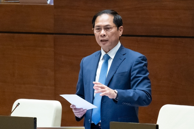 Bộ trưởng Ngoại giao Bùi Thanh Sơn trả lời chất vấn tại Quốc hội chiều 18/3. Ảnh: Quốc hội.