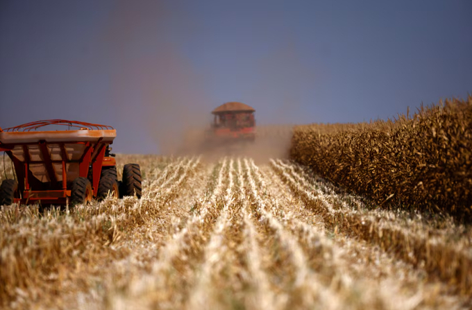 A combine harvester is seen as it harvests corns at a farm near Brasilia, Brazil August 22, 2023.