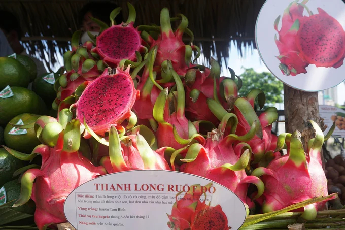Red-flesh dragon fruit is prevalent in many markets. Photo: Nguyen Thuy.