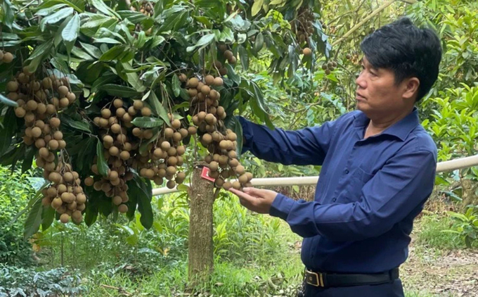 Tỉnh Hưng Yên sẽ dành kinh phí hỗ trợ nghiên cứu áp dụng hệ thống quản lý, tiêu chuẩn, công cụ nâng cao hiệu quả sản xuất, kinh doanh của các hợp tác xã trên địa bàn tỉnh Hưng Yên.