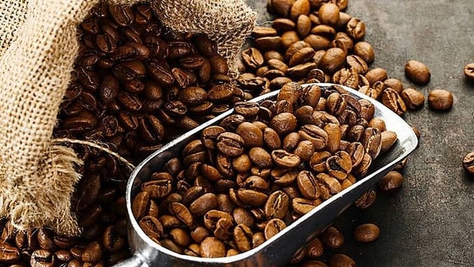 Update on the latest domestic and world coffee prices on 03/19/2024