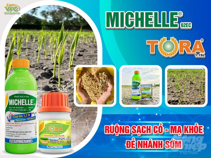 Bộ đôi sản phẩm Michelle 62EC - Tora 1.1SL, giải pháp hiệu quả giúp quản lý các loại cỏ dại, tăng khả năng sinh trưởng của cây lúa trong điều kiện thời tiết bất lợi. Ảnh: KT.
