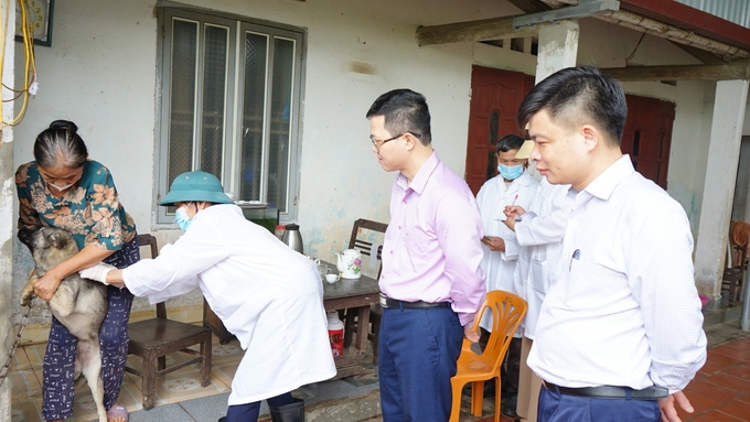 Ông Nguyễn Văn Long, Cục trưởng Cục Thú y (áo hồng) và ông Đăng Văn Hiệp, Chi Cục trưởng Chi cục Chăn nuôi - Thú y Thanh Hóa (áo trắng, bên phải) kiểm tra, giám sát việc tiêm phòng dại trên đàn chó, mèo. Ảnh: QT.