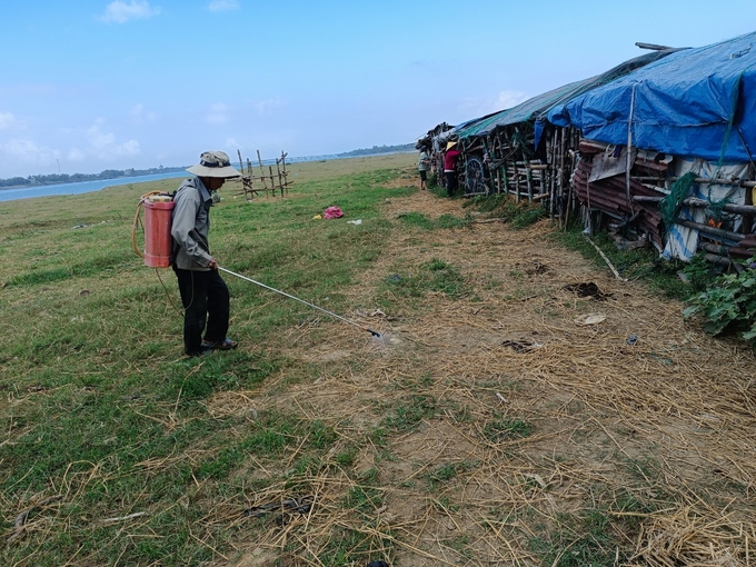 Ngành thú y tỉnh Quảng Nam thực hiện công tác phun tiêu độc khử trùng sau khi phát hiện dịch trên địa bàn. Ảnh: L.K.