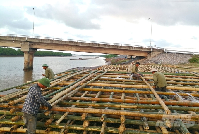 Những hộ nuôi hàu nước lợ tại Tiền Hải cũng khẩn trương gia cố, làm mới những bè nuôi, đảm bảo điều kiện tốt để vụ nuôi diễn ra thuận lợi. Ảnh: Trung Quân.