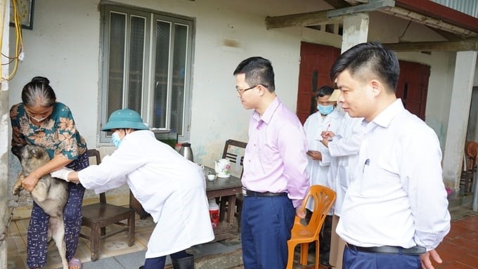 Mr. Nguyen Van Long, Director of the Department of Animal Health (pink shirt), and Mr. Dang Van Hiep, Director of Thanh Hoa Sub-Department of Animal Husbandry and Veterinary Medicine (white shirt, right), inspect and supervise vaccination against rabies in dog and cat herds. Photo: QT.