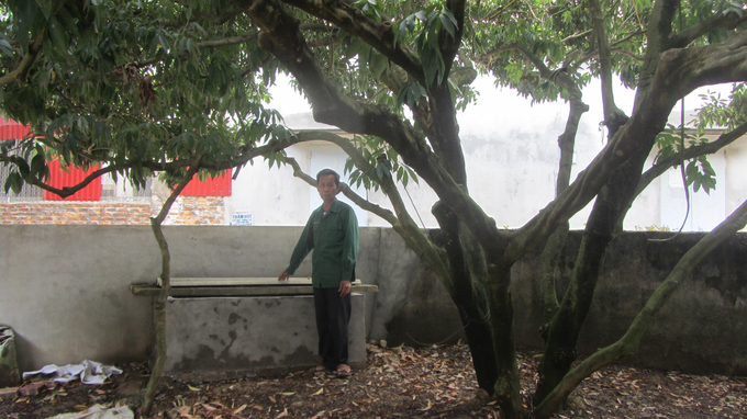 Bể xây kiên cố để xử lý rác tại hộ gia đình ông Nguyễn Văn Hú ở xã Tam Đa, huyện Phù Cừ. Ảnh: Hải Tiến.