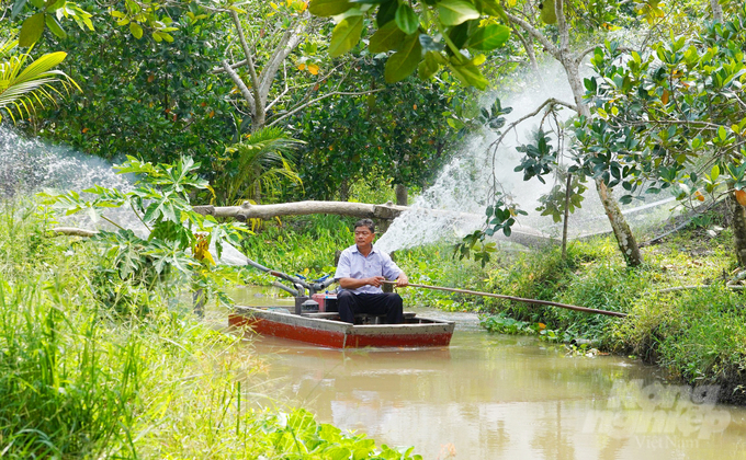 Mr. Nguyen Huu Tan takes care of the Thai jackfruit garden. Photo: Le Hoang Vu.