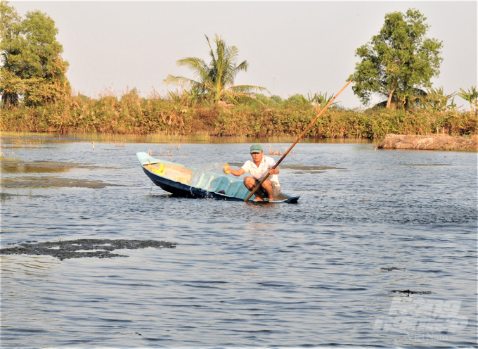 Even though we are in the midst of a salinity drought, thanks to the coastal sewer system that regulates water sources, the salinity in the river is being controlled at below 30‰. When pumping into shrimp fields, it is still at the appropriate level for shrimp to grow. Photo: Trung Chanh.