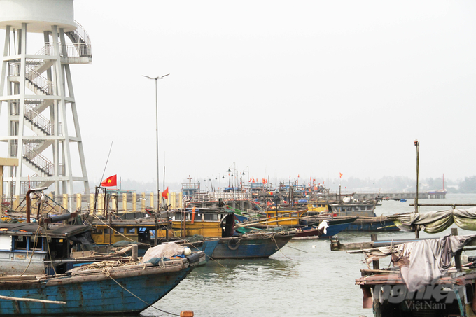 Continuing to invest in upgrading fisheries infrastructure will improve Thua Thien-Hue fishermen's fishing capacity. Photo: CD.